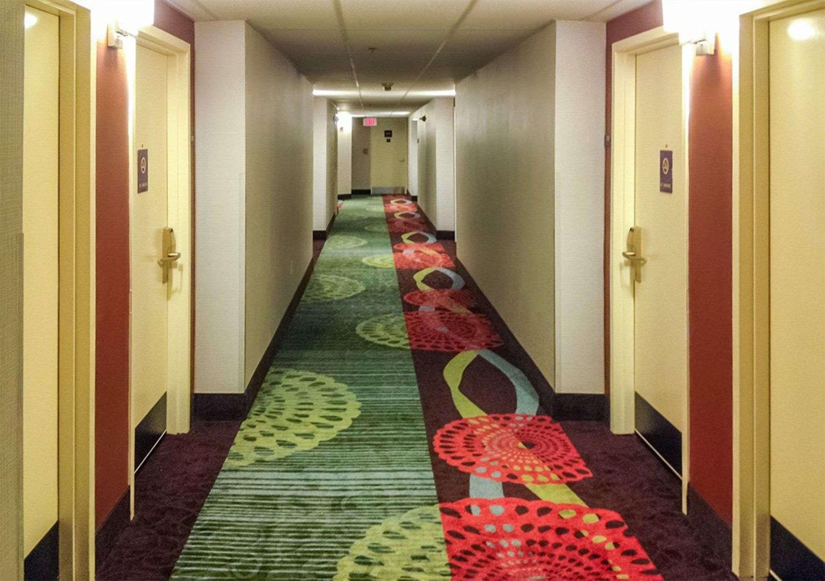 Comfort Inn North Of Asheville Mars Hill Dış mekan fotoğraf